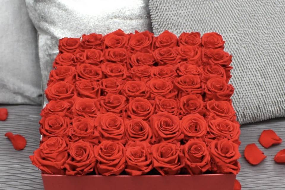 Box xl rosas y caja rojas