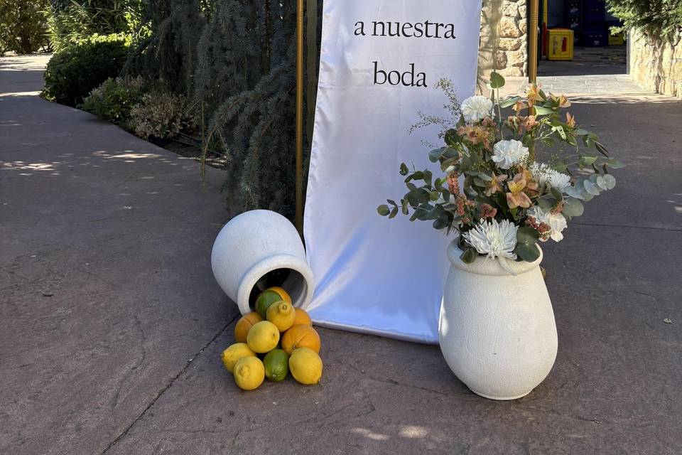 Bienvenida tela