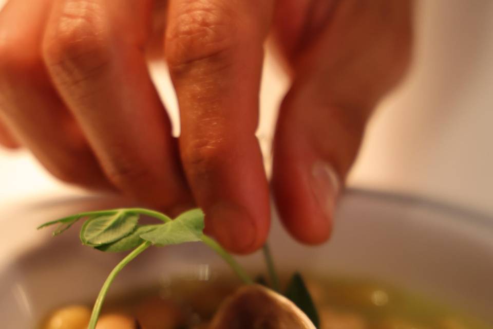 Gastronomía