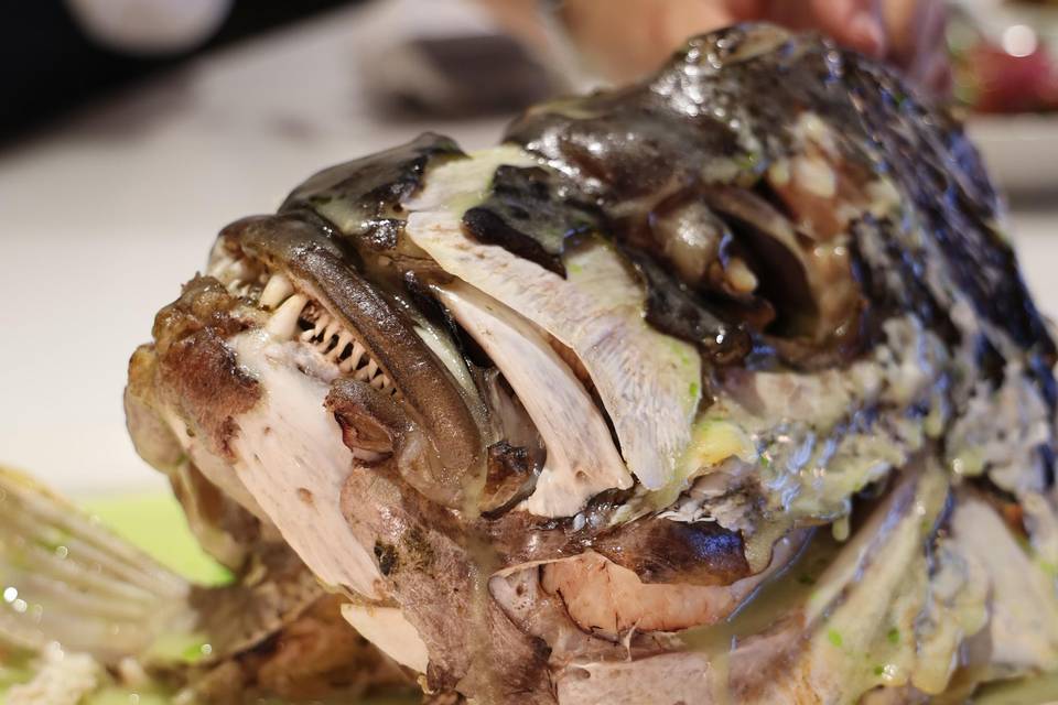 Gastronomía