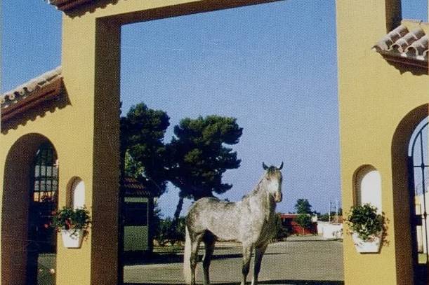 Entrada a la Finca