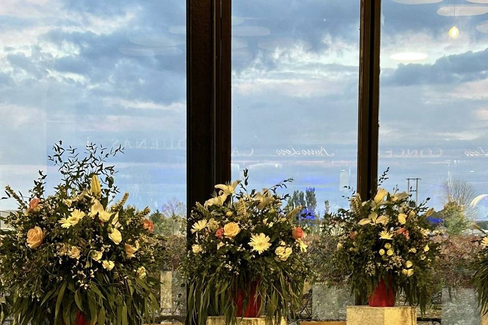 Qk eventos