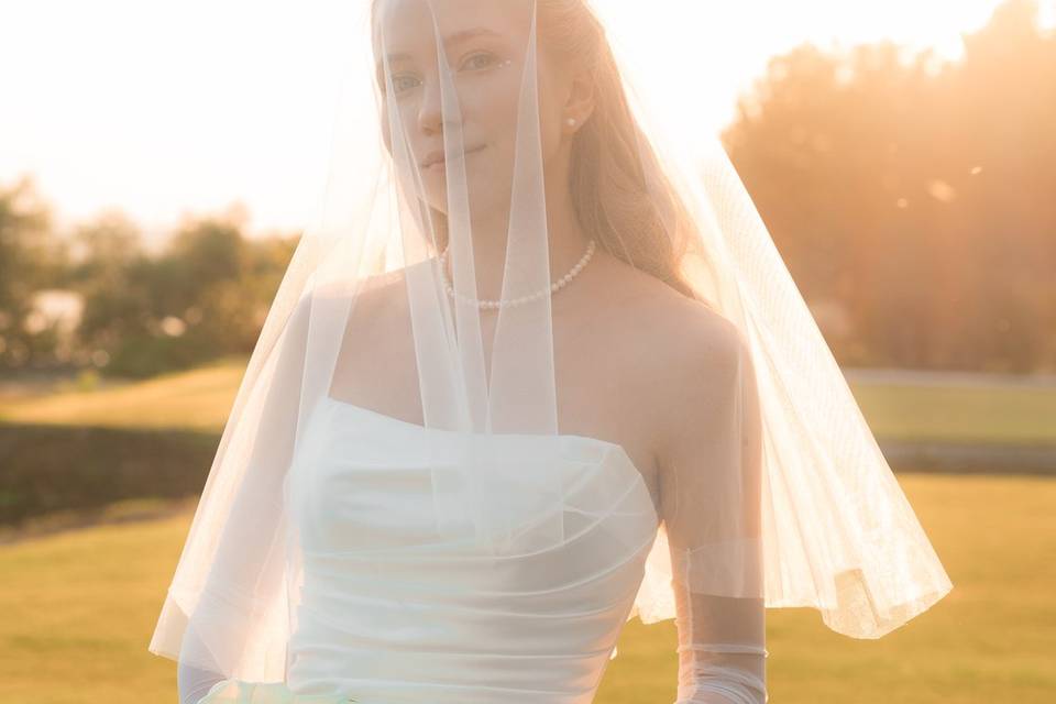 Bride under a veil