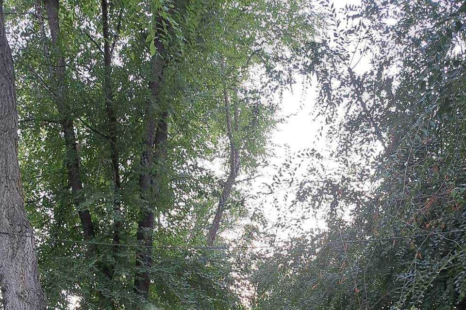 Jardín de los Angeles