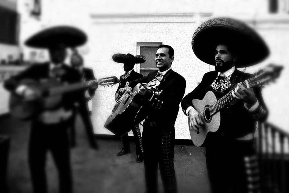 Mariachis Trompetas de México