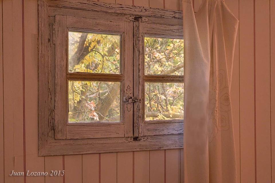 Detalle ventana