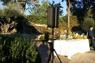 Maestro de ceremonias en boda civil