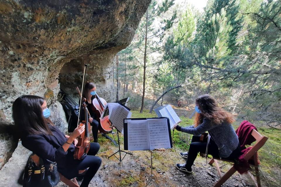 Cuarteto de cuerda