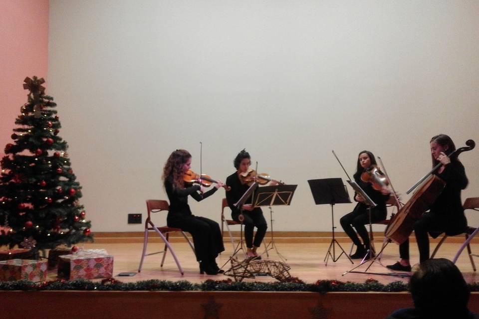 Cuarteto Keltiberoi