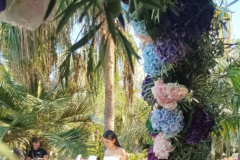 Maestra ceremonias Elche
