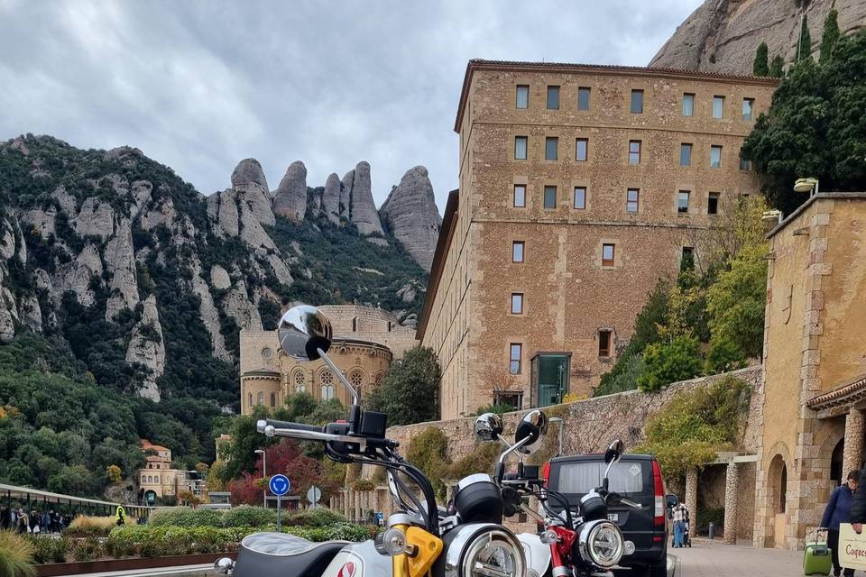 Monkey en Montserrat