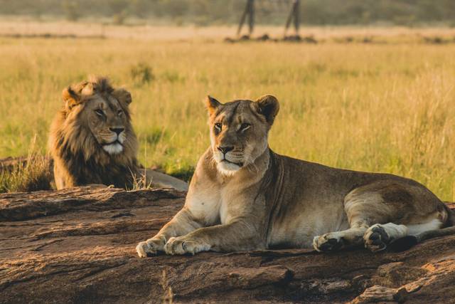 TANZANIA