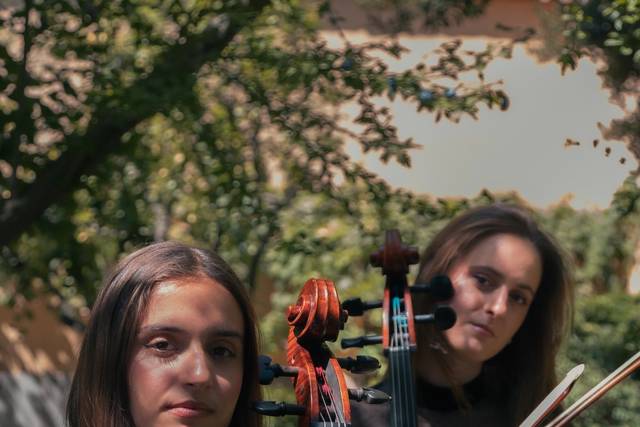 Amenización musical