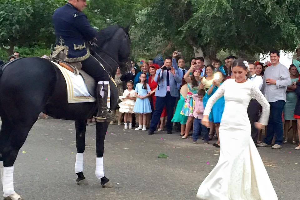 Novia baila sevillanas con el caballo