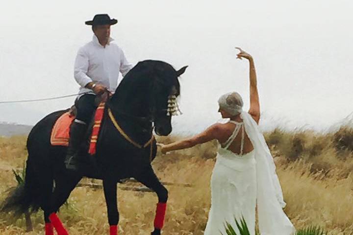 Boda en la playa