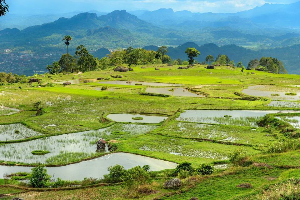 Descubriendo Indonesia