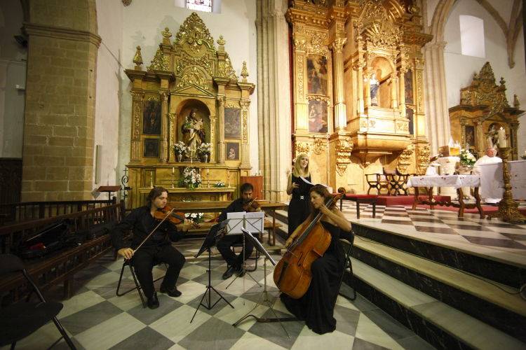 Violín