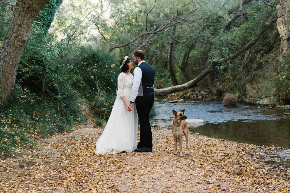 Postboda de otoño