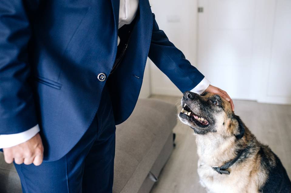 Mascota en la boda