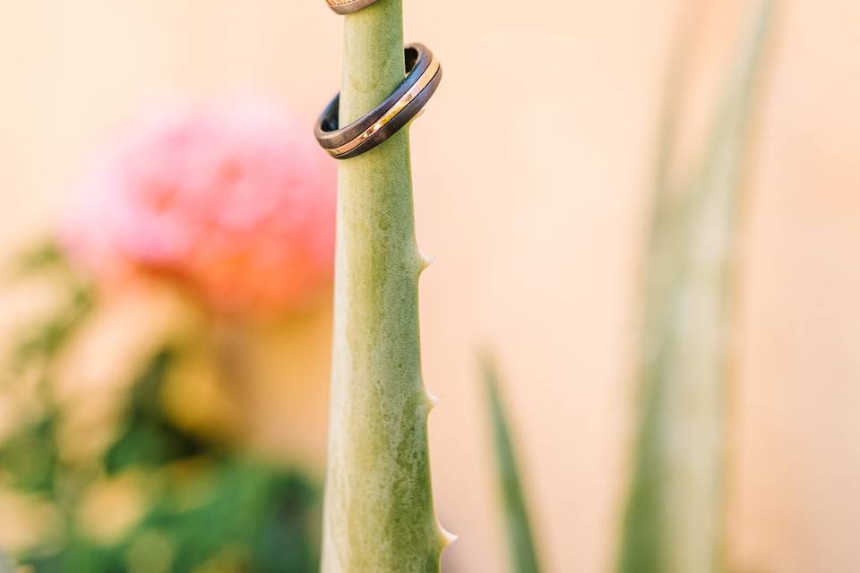 Anillos de novios