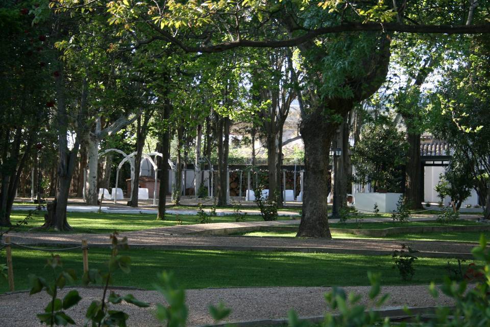 Vista de parte de jardín