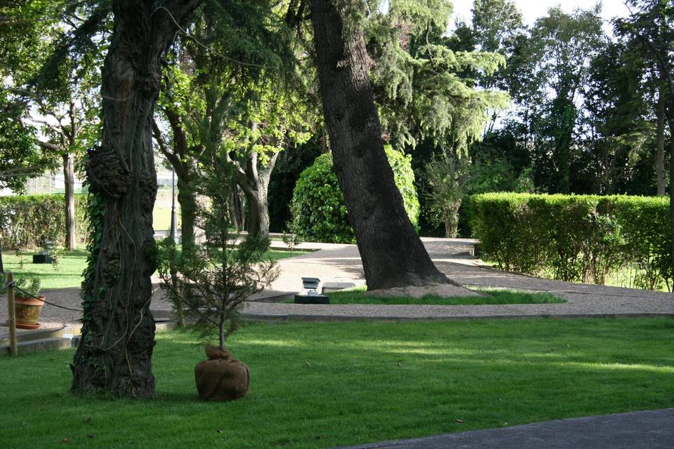 Detalle del jardín