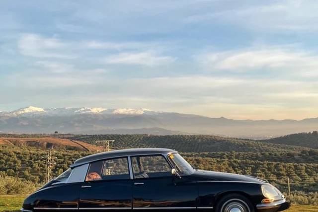 Citroën DS 1955