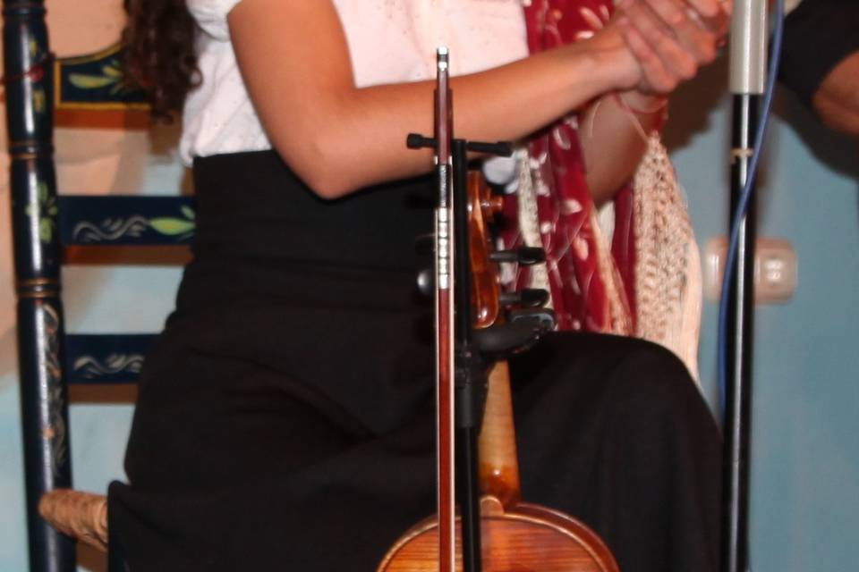 Violín