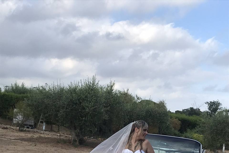 Novia