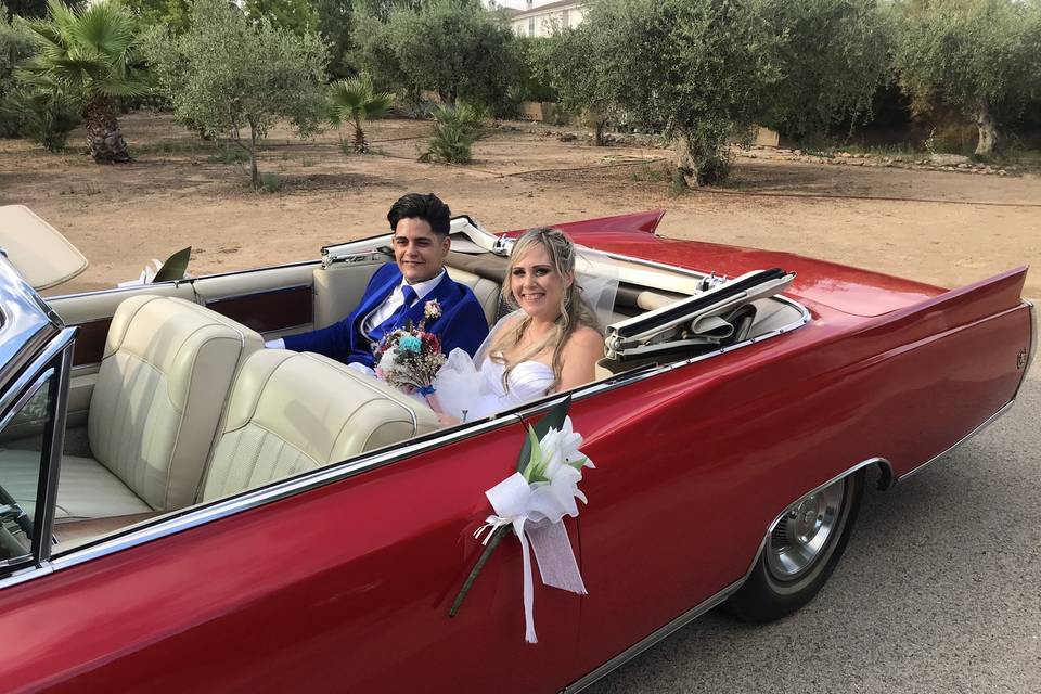 Novios
