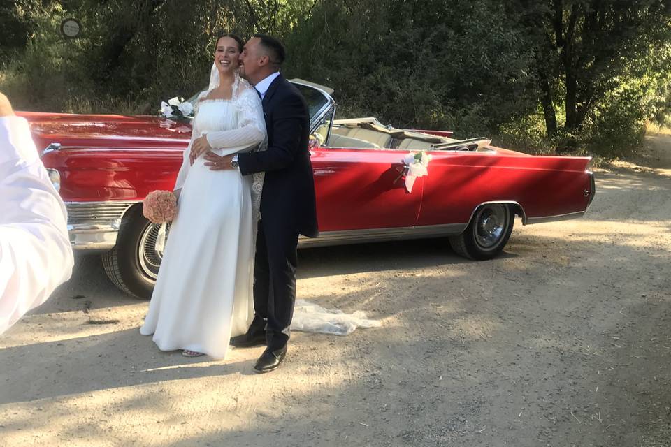 Novios