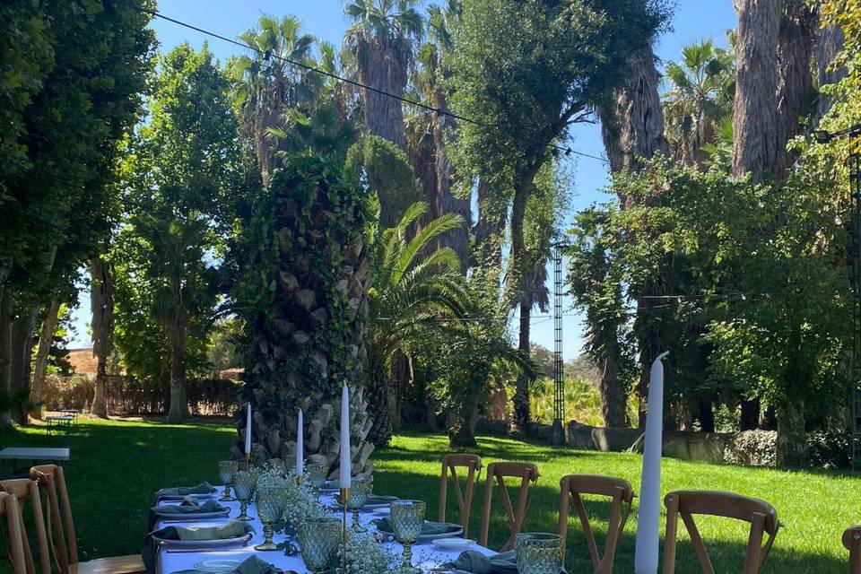 Enlace de Alicia & Luis