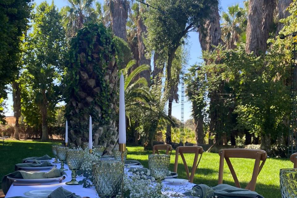 Enlace de Alicia & Luis