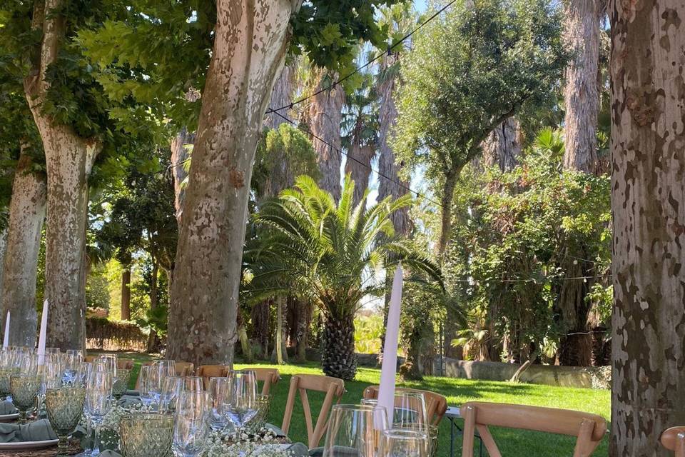 Enlace de Alicia & Luis