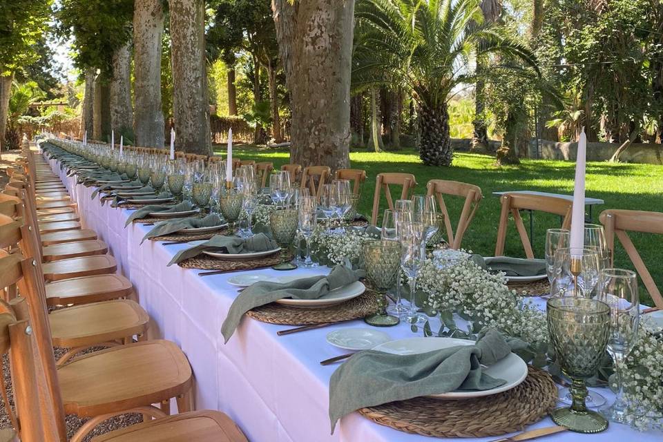 Enlace de Alicia & Luis