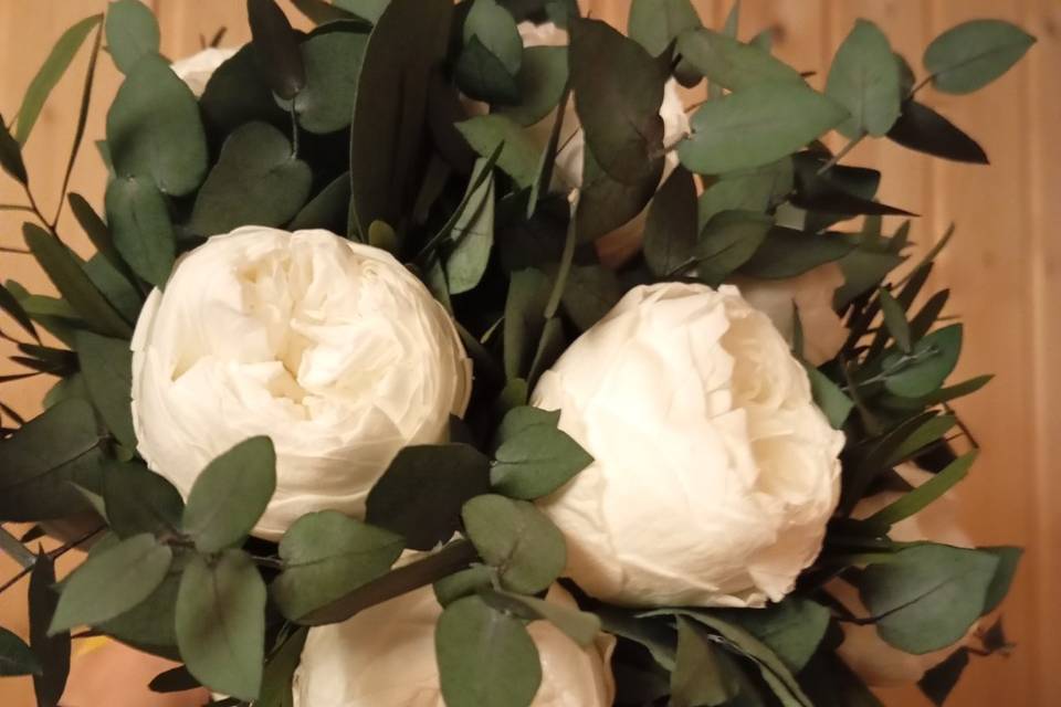 Enlace de Alicia & Luis