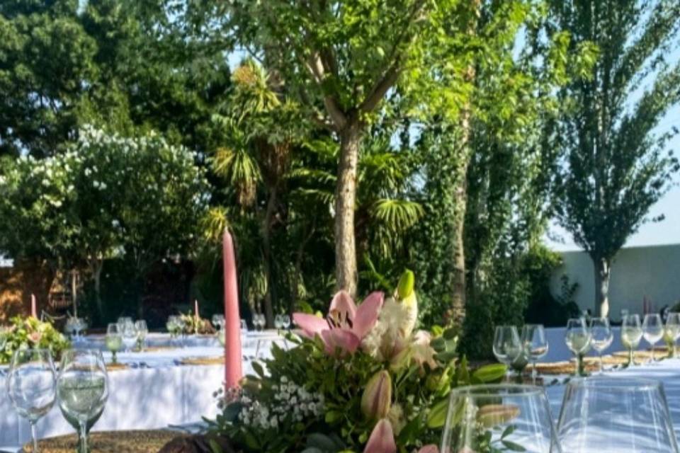 Boda Bridgerton