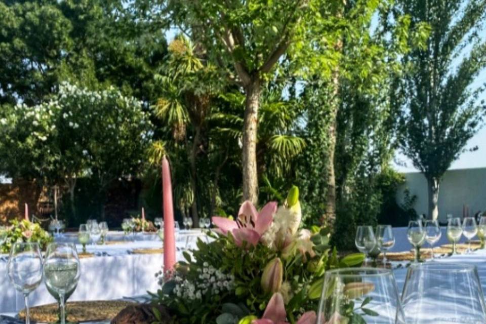 Boda Bridgerton
