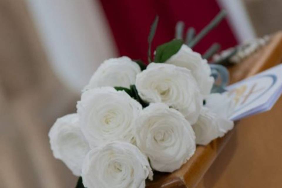 Enlace de Irene & Antonio