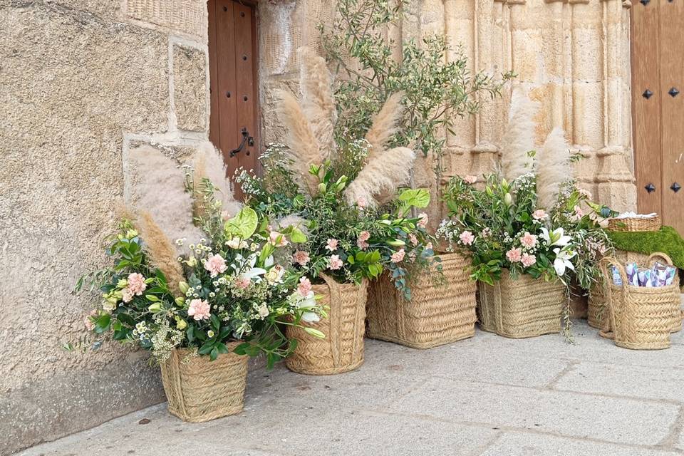 Enlace Celia & Alfredo