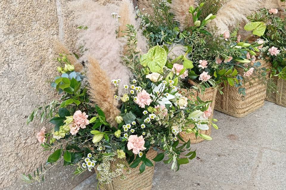 Enlace Celia & Alfredo