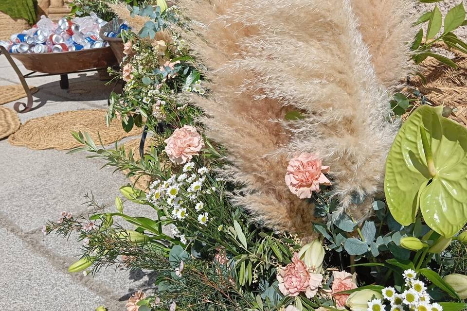 Enlace Celia & Alfredo