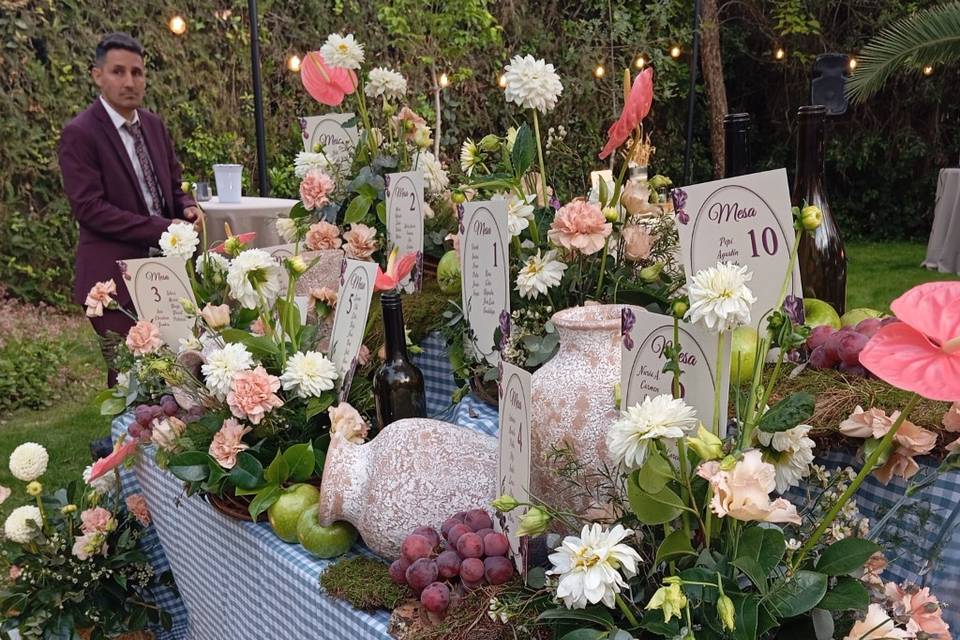 Enlace de Celia & Alfredo