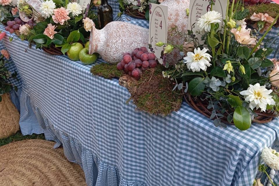 Enlace de Celia & Alfredo