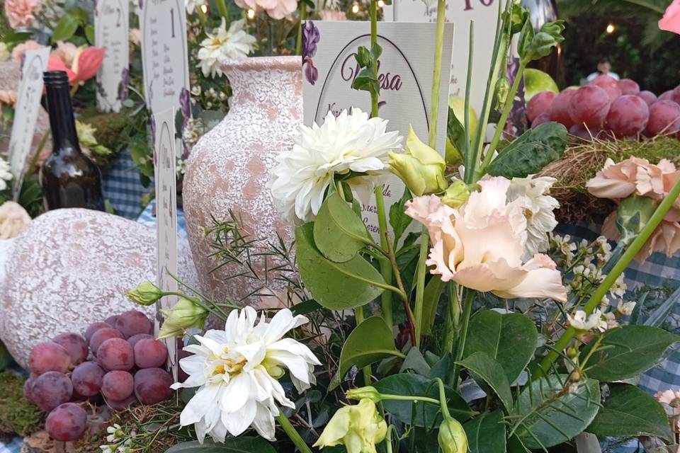 Enlace de Celia & Alfredo