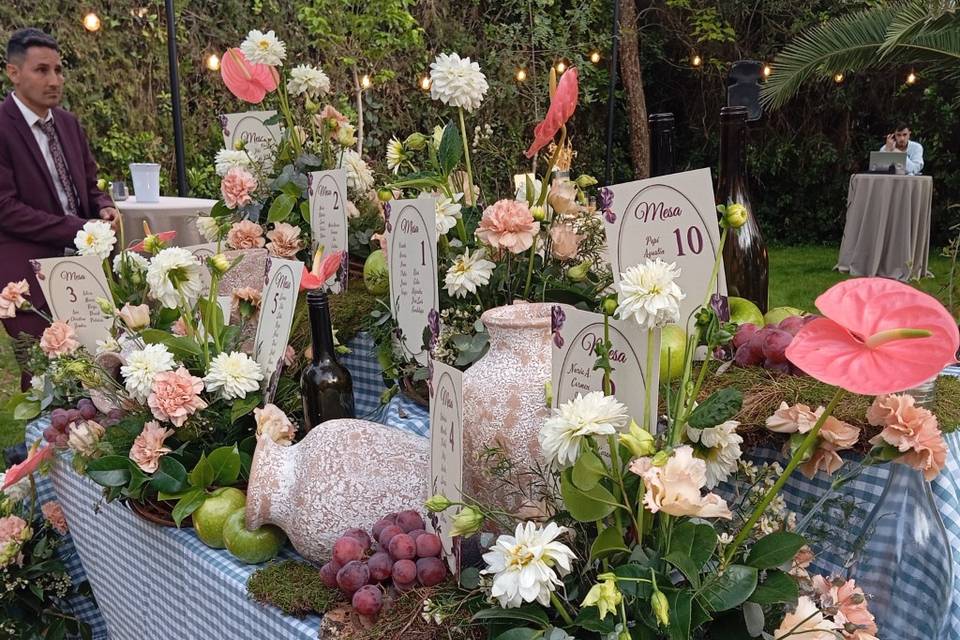 Enlace de Celia & Alfredo