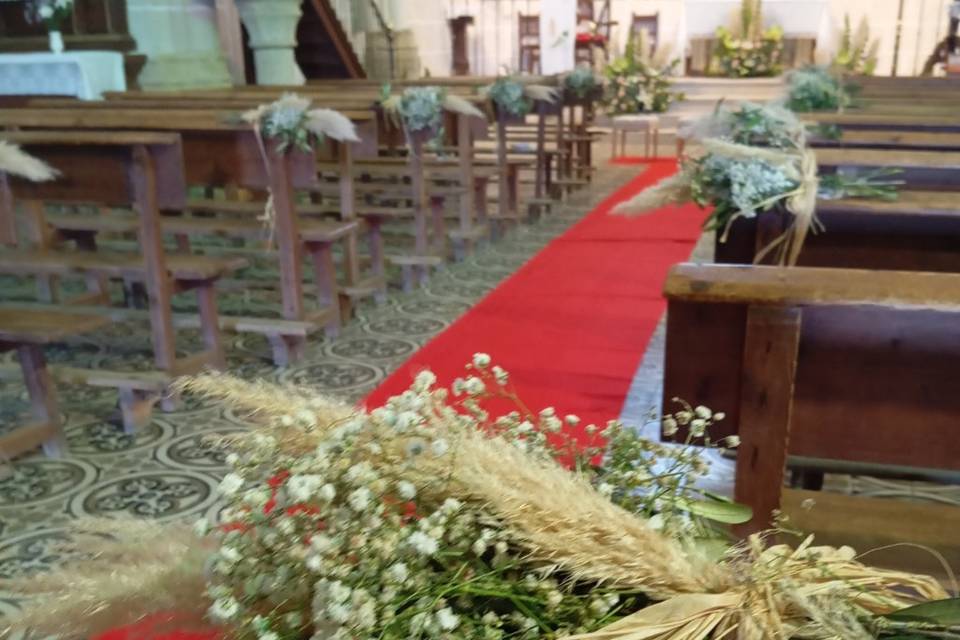 Enlace de Celia & Alfredo