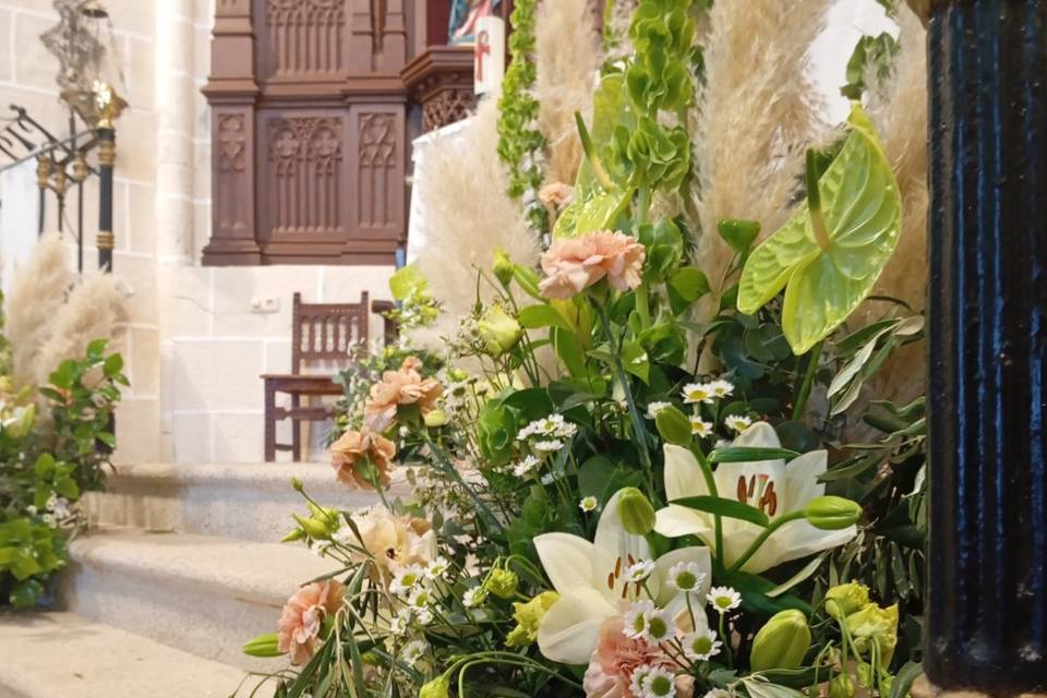 Enlace de Celia & Alfredo