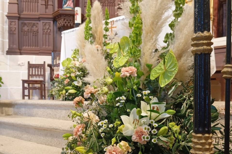 Enlace de Celia & Alfredo