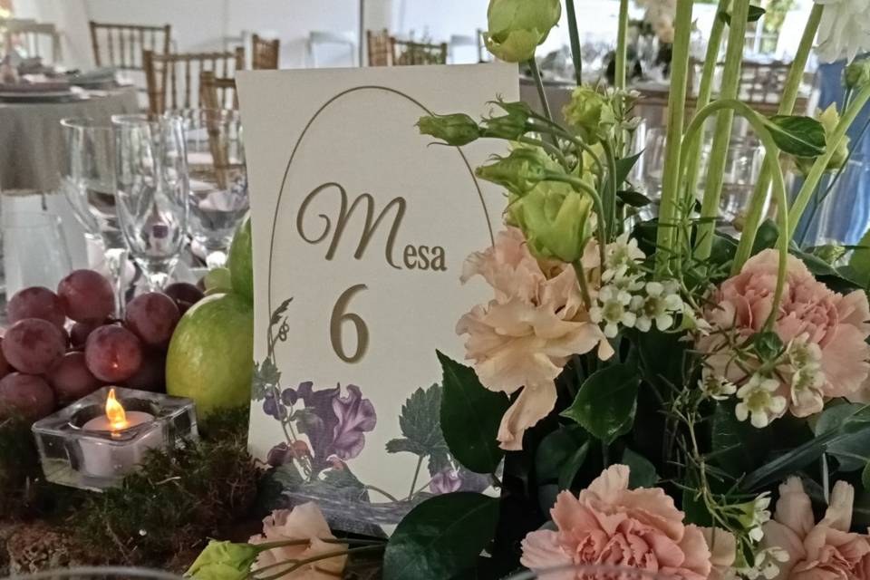 Enlace de Celia & Alfredo